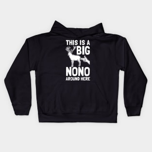 This Is A Big Nono Around Here Kids Hoodie